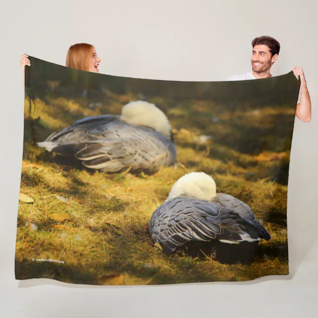 Cute Snow Geese Dreaming in the Summer Sun Fleece Blanket