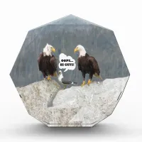 Funny Eagles and Seagull Award