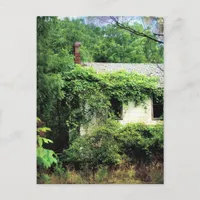 Abandoned White House in the Woods Postcard