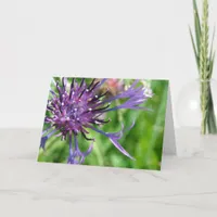 Purple Flower Card