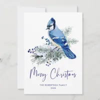 Rustic Christmas Blue Jay Winter Bird Holiday Card