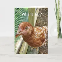 What's Up Chicken Butt Funny chicken humor Card