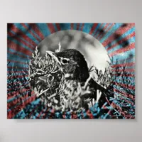 Baby Robin Poster