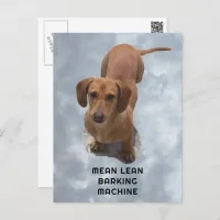 Cute Brown Dachshund Barking Machine Postcard