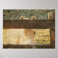 Looking Through the Fence Poster