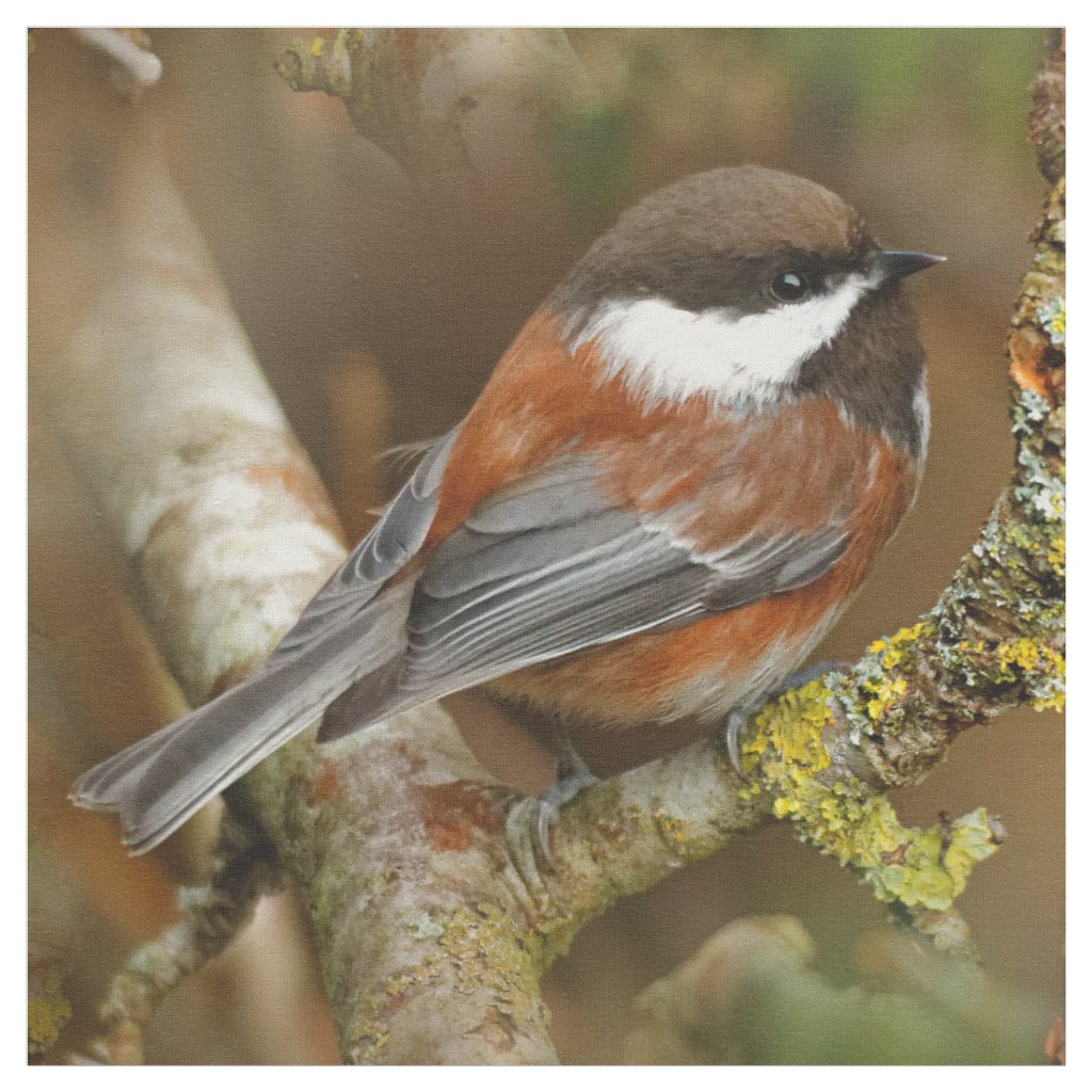 Cute Chestnut-Backed Chickadee on the Pear Tree Fabric