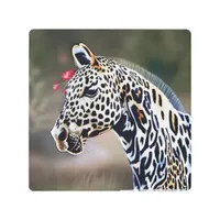 Funky Leopard Appaloosa Metal Print