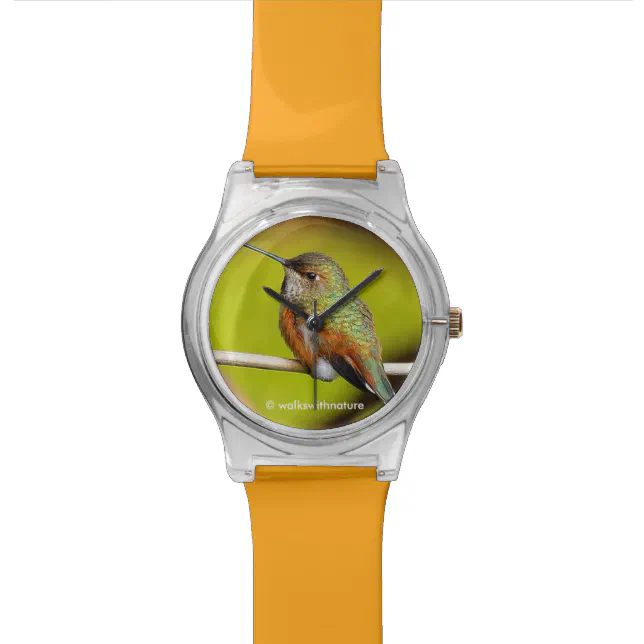 Feisty Little Girl: Rufous Hummingbird Wrist Watch