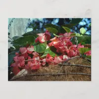 Basket of Flowers Postcard