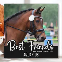 Best Friends Never Forgotten Horse Pet Memorial Plaque