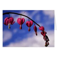 [Colorful Flowers] Bleeding Heart Greeting Card