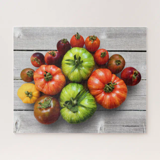 Colorful Striped Tomatoes on Weathered Table Jigsaw Puzzle