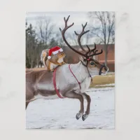 Adorable Santa Squirrel and Leaping Reindeer Postcard