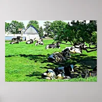 Cute Wisconsin Cows Sleeping Under Trees Poster