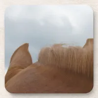 From a Horse's View, Horse Ears and Neck Drink Coaster