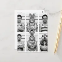Human and Wildlife Criminals Groundhog and Rabbit Postcard
