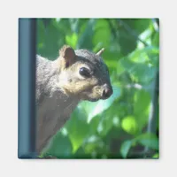 Funny Peek-a boo Squirrel Photograph Kitchen Magnet