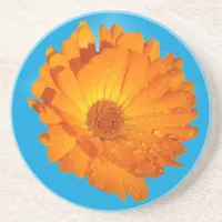 Coaster - Calendula