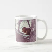 Winter squirrel coffee mug