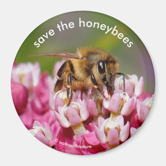 Save the Honeybees Pollinating Narrowleaf Milkweed Magnet