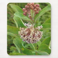 Milkweed is Pretty Mouse Pad