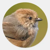 Bushtit in the Spring Classic Round Sticker