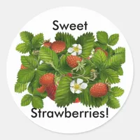 Vintage Strawberry Plant Classic Round Sticker