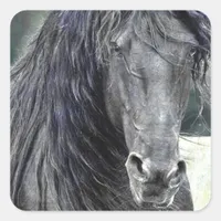 Friesian Stallion Square Sticker