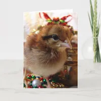 Christmas Chick Holiday Card