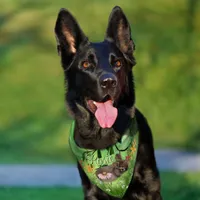  Painted Watercolor  Daisy Bunny Custom Pet Bandana Collar