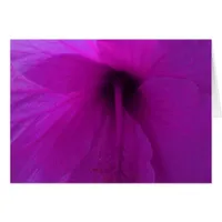 Purple Hibiscus Flower