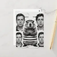 Human and Wildlife Criminals Groundhog Postcard