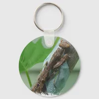 Praying Mantis Insect Keychain