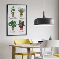 Hand Drawn House Plants Wall Art