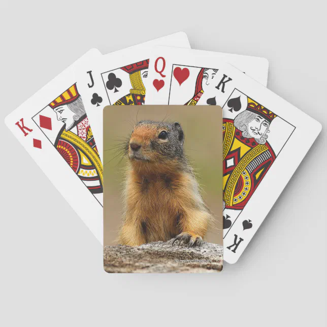 Funny Cute Saucy Columbian Ground Squirrel Poker Cards