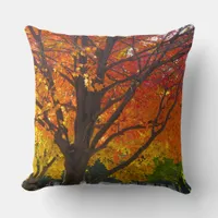 Autumn Leaves of Yellow and Orange Photo Throw Pillow