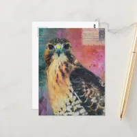 A Hawk Postcard