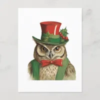 Adorable Christmas Owl Postcard