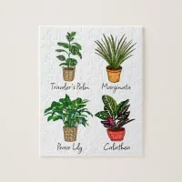 Hand Drawn House Plants Art   Jigsaw Puzzle