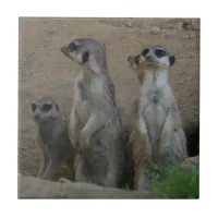 Cute Meerkat Family saying Hello Ceramic Tile