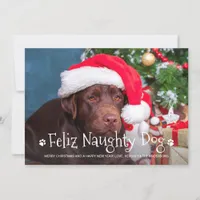 Feliz Naughty Dog Funny Personalized Pet Photo Holiday Card