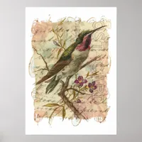 Vintage Hummingbird Poster