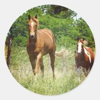 Come when Called, Two Horses Classic Round Sticker