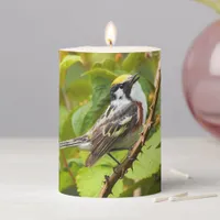 Beautiful Chestnut-Sided Warbler on a Branch Pillar Candle