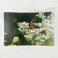 Butterfly and Bees on White Common Boneset Flower Trinket Tray