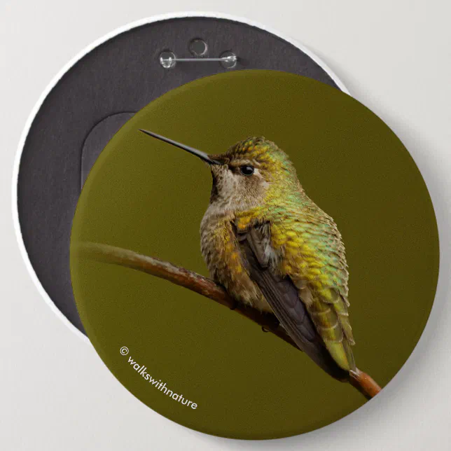 Anna's Hummingbird on Scarlet Trumpetvine Pinback Button