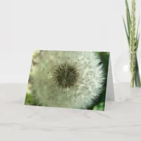 Dandelion Seeds Card