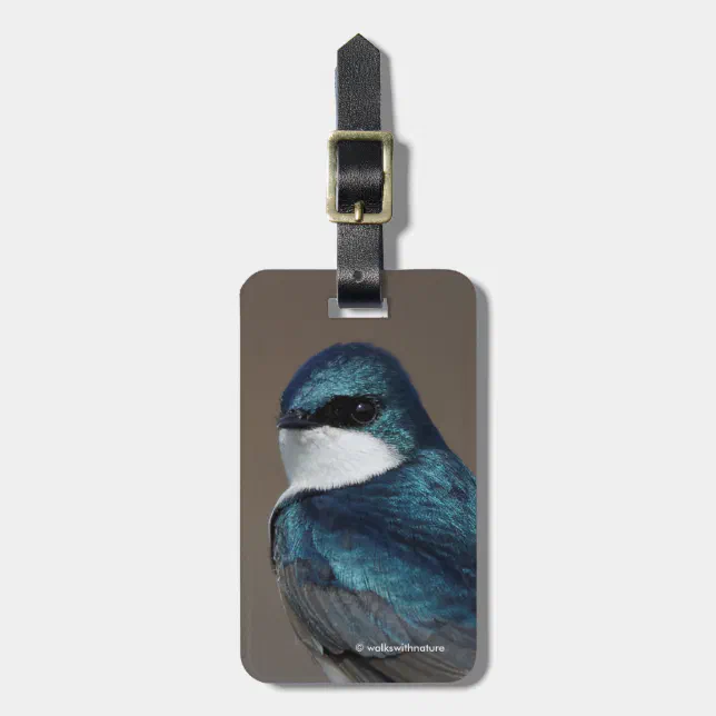 Handsome Tree Swallow Songbird on a Wire Luggage Tag