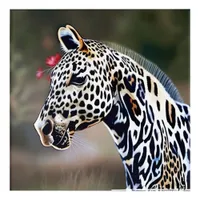 Funky Leopard Appaloosa Acrylic Print