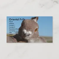 Oriental Frills Business Card